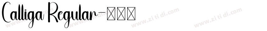 Calliga Regular字体转换